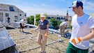 Mieter eines Mehrfamilienhauses in Nürnberg installieren eine PV-Anlage auf dem Dach des Hauses. | Bild: BR/Marina Braun
