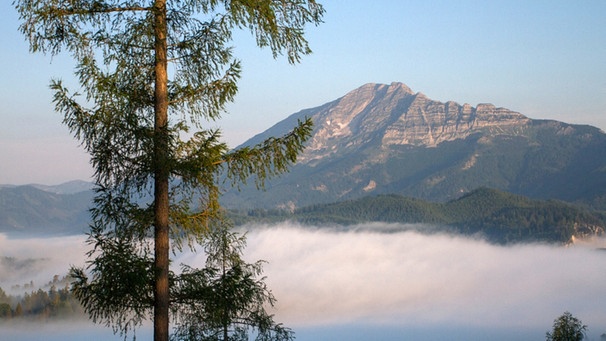 Der Bergstock des Ötscher liegt am östlichen Rand der Alpen. Sein Gipfel ist keine 2000 Meter hoch. Und dennoch dominiert dieser Berg eine ganze Region, eine Landschaft der Superlative: Hier gibt es nicht nur einen der kältesten Orte der Alpenregion, sondern auch den dunkelsten Nachthimmel weit und breit, denn das Land hier ist sehr dünn besiedelt, und die Sterne funkeln wie nirgends sonst in den Bergen. | Bild: BR/Interspot Film