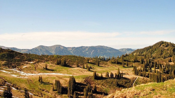 Alpenpanorama Riedberger Horn | Bild: © frankthoma - Fotolia