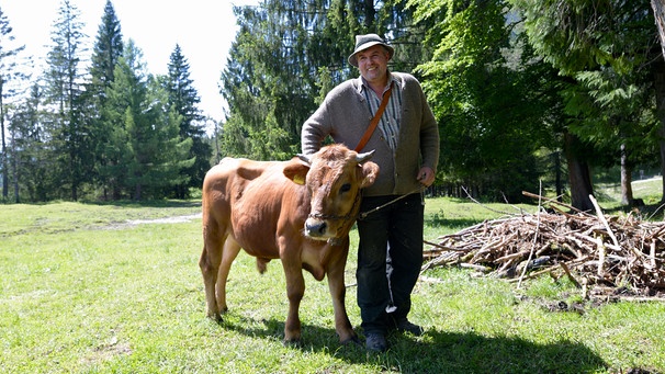 Mit seinem Ochsen Lucki will Hubert Braun aus Garmisch einmal ein Gespann ziehen. | Bild: BR