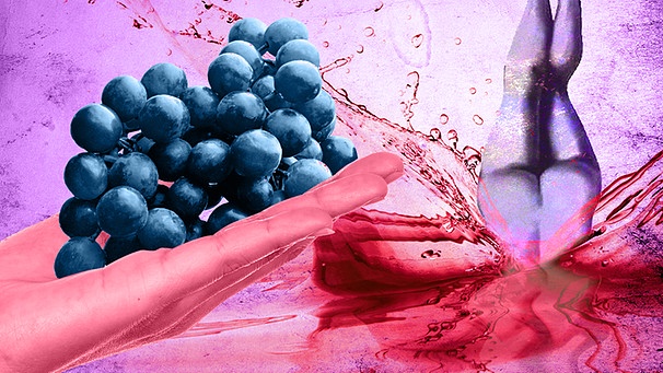 Hand mit blauer Traubenrebe neben nackter Frau, die in einen See aus Rotwein springt | Bild: colourbox.com; Montage: BR/Tanja Begovic