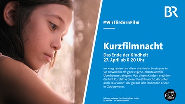Banner für das Landshuter Kurzfilmfestival 2022 | Bild: Landshuter Kurzfilmfes6tival/BR
