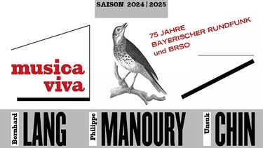 Logo von musica viva im Jubiläumsjahr | Bild: BR