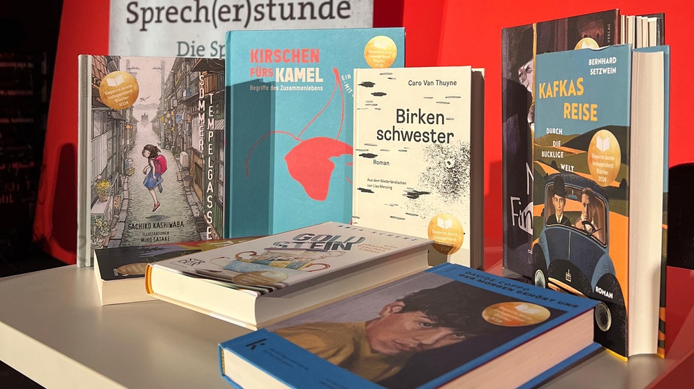 Büchertisch mit den gelesenen Büchern der Sprecherstunde | Bild: BR/patrick Zeilhofer